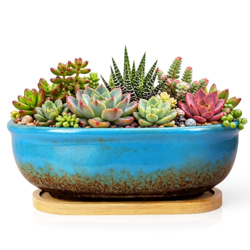 ARTKETTY Sukkulententöpfe, rechteckig mit Abtropfschale, ideal für Zimmerpflanzen wie Sukkulenten, Kaktusse, Bonsai… – Ansicht 1