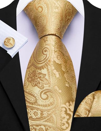 Image of Barry.Wang 6 PCS Men Ties Set Silk Business Fashion Woven Necktie Handkerchief Cufflinks Paisley Stripe Wedding Party