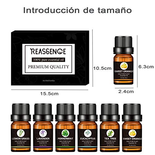 Humidificadores, Personal Care Appliances Imagen adicional