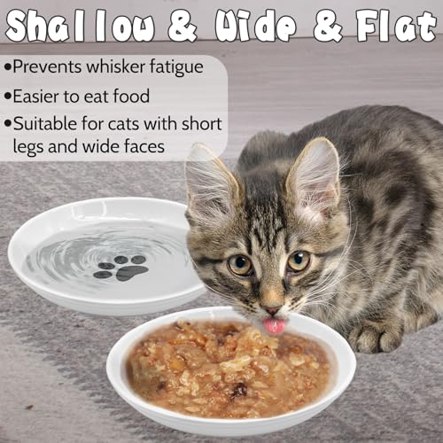 BNOSDM-4-Pcs-Cat-Food-Bowls-Ceramic-Shallow-Cat-Dishes-Non-Slip-Silicone-Bottom-Whisker-Fatigue-Pet-DryWet-Food-Plates-Set-for-Indoor-Small-Cats-Dogs BNOSDM 4 Pcs Cat Food Bowls Ceramic Shallow Cat Dishes Non Slip Silicone Bottom Whisker Fatigue Pet DryWet Food Plates Set for Indoor Small Cats Dogs