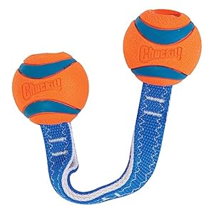   Chuckit-Ultra-Duo-Tug-Dog-Toy-Small-Indoor-and-Outdoor-Dog-Ball-for-Dogs-0-20-Pounds