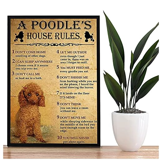 Póster de una casa de caniche, cartel de reglas de la casa, cartel de caniche, póster vintage de caniche, pared de caniche para decoración del hogar, sin marco, póster de 61 x 91 cm