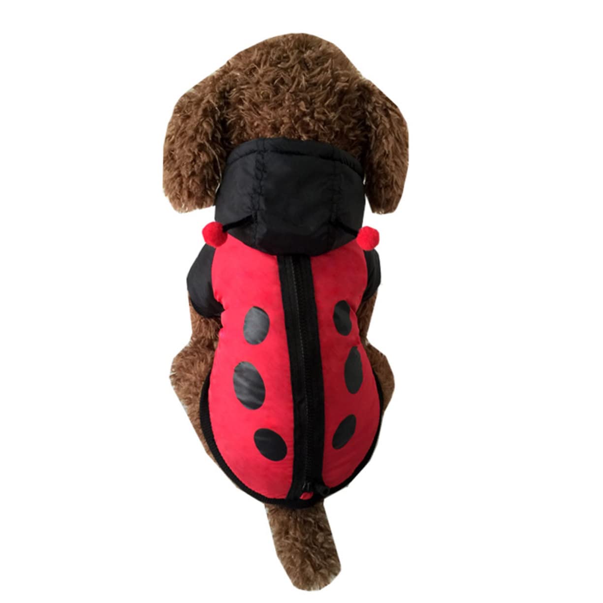 INOOMP 2piezas Disfraz De Halloween para Perros y Gatos Abrigo De Mascota Tipo Mariquita Ropa Cálida y Divertida para Ocasiones Especiales como Navidad y Fotografía Diseño Creativo y