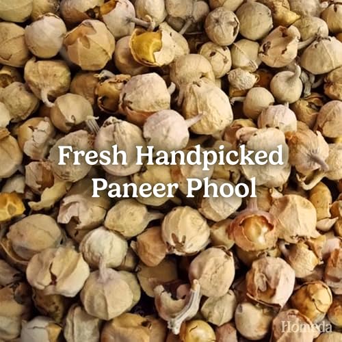 Image of Homeda Paneer Phool for Diabetes, Paneer Doda (350 grams) Panir Ke Dodi - Withania coagulans | Indian Rennet - No Preservatives