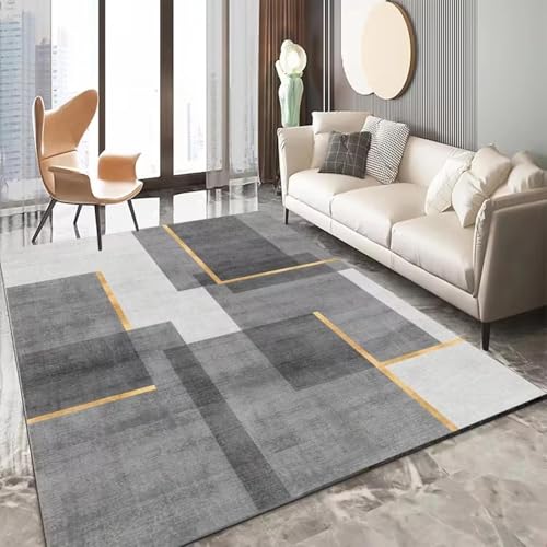 Tapis moderne de salon isolant pour réchauffer les sols froids