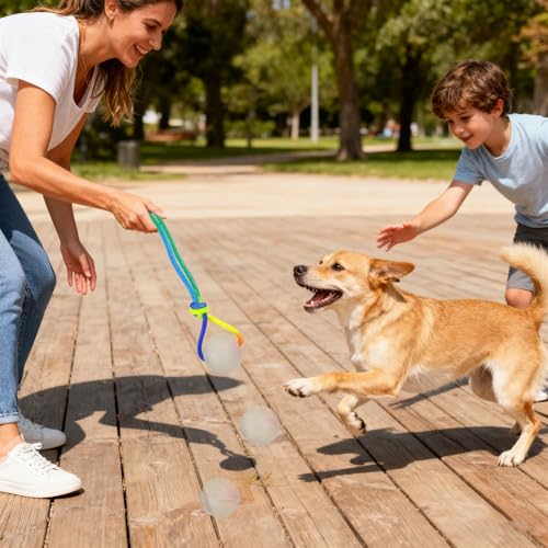 Aakluk 2 Stück Im Dunkeln Leuchtender Hundeball | Leuchtende Gummibälle Mit Seil Für Hunde Hüpfbälle | Interaktives Kauspiel Für Kleine, Große Und Mittelgroße Hunde, Leuchtet