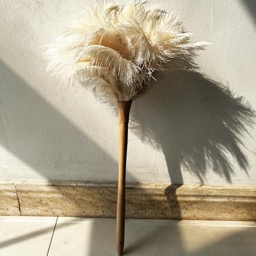 Image of 19.7 Inch Ostrich Feather Duster - Soft Dusting Brush for Home, Office, and Furniture Cleaning (Off White)