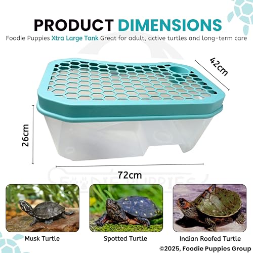 Image of Foodie Puppies Turtle Tank Aquarium - (XL, Honeycomb Tank) (72x42x26cm) with Lid and Ramp | Basking Platform, Swimming Area, breeding, Hibernation Area for Turtle (Color May Vary) (No Accessories)