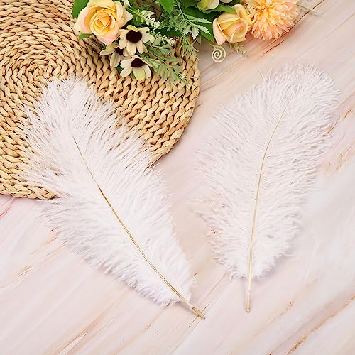PATIKIL 100 Pcs Natural Ostrich Feathers Bulk 8-10 Inch/ 20-25 cm Large Ostrich Feathers for Crafts Home Decoration Wedding Party Vase Decor Centerpieces (White) - Image 3