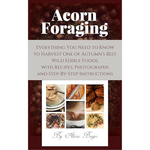 Acorn Foraging by Alicia Bayer episode artwork