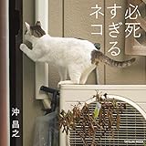写真集 必死すぎるネコ