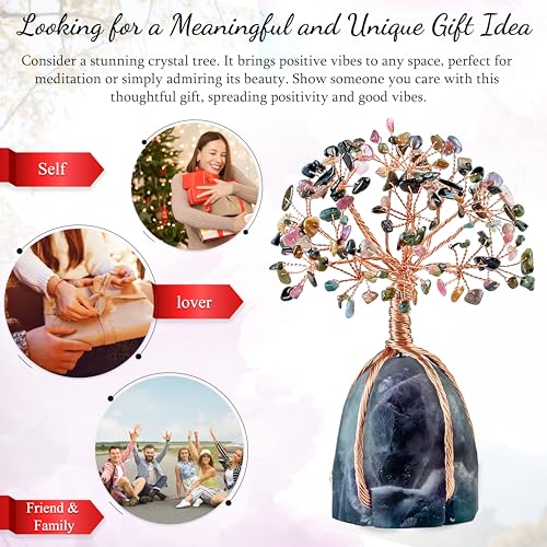Image of Crocon Multi Tourmaline Crystals Tree with Fluorite Rough Base, Birthday
