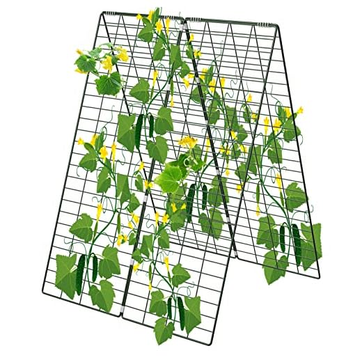 Best way to grow cucumbers in a greenhouse umbrella AGTEK Foldable Cucumber A-Frame Trellis