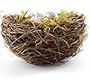 YEUQWJ Artificial Birds Nest, 4PCS Crafts Handmade Natural Easter Birds Nest Rattan Birds Nest for Garden Yard Home Party Easter Decor Contains 12 Artificial Bird Eggs&4 Packs of Moss #2