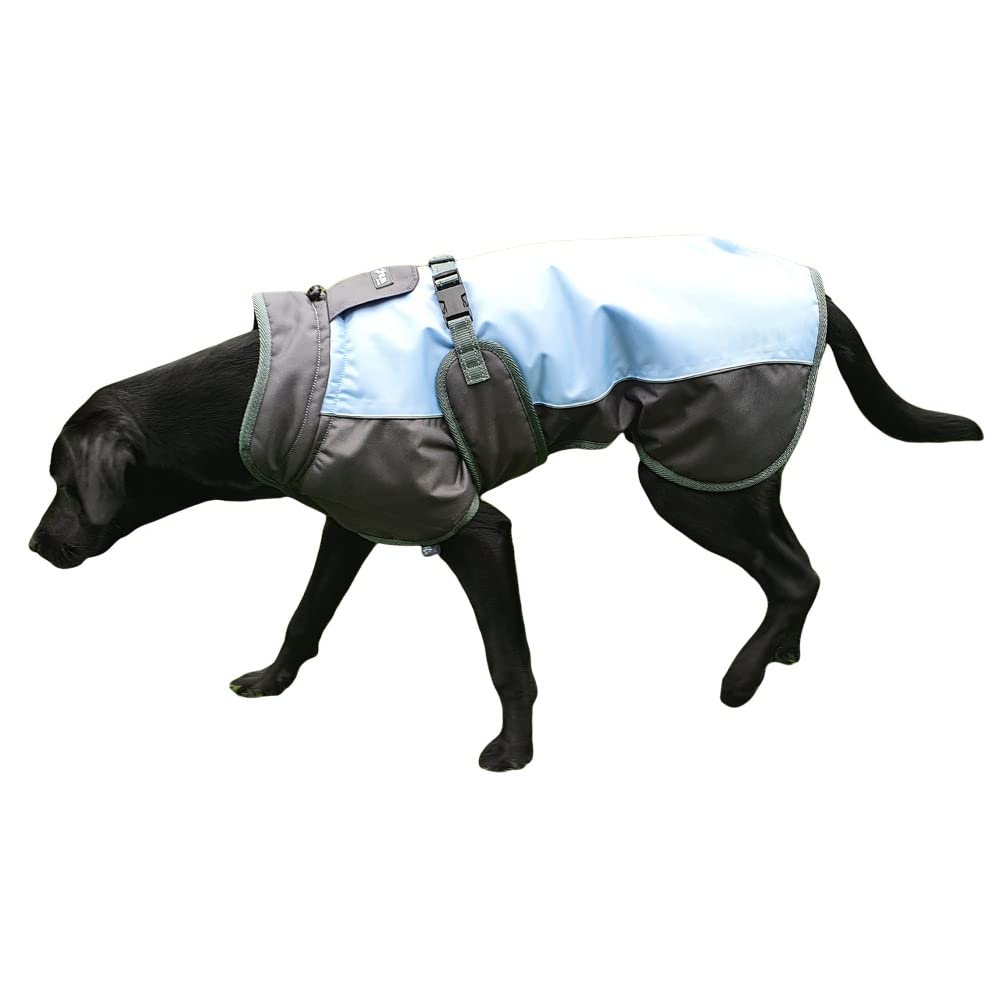 Henry Wag Winter Coat Jacket for Pet Dog | Protect from The Cold | Waterproof, Breathable & Comfortable, Grey