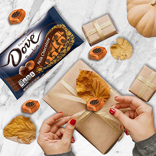 DOVE PROMISES Milk Chocolate Pumpkins Autumn Fall Treats Halloween Candy, 8.87oz - image 6