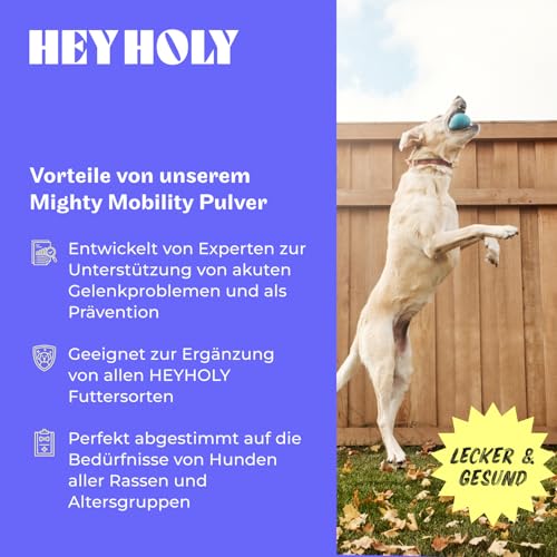 Premium Gelenkpulver für Hunde Mighty Mobility | Grünlippmuschel Hund | Gelenk- & Knochenschutz für Hunde 200 g | Unterstützt bei akuten Gelenkschmerzen & Präventiv | Alternative zu Gelenktabletten