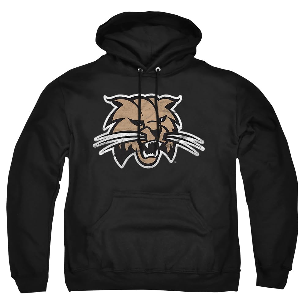 LOGOVISION Official Collegiate Distressed Primary Logo Adult Pullover Hoodie Collection — view 248