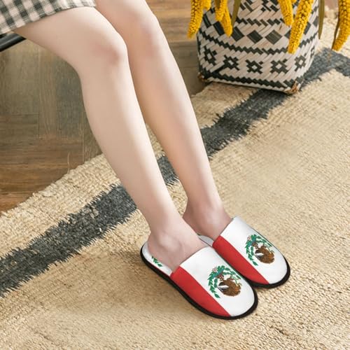Flag Of Mexico Slippers Women Flats Slippers Unisex Soft Bedroom Slippers3