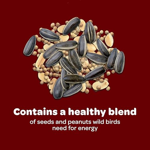 Kaytee Wild Bird Songbird Blend Food Seed, 7 Pound - image 7