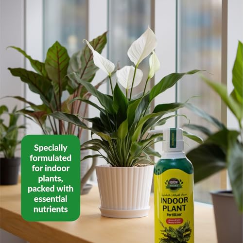 Vgrow Ready-to-Use Indoor Plant Fertilizer - 400ml Pump Feed Bottle, Balanced NPK for All Indoor Plants