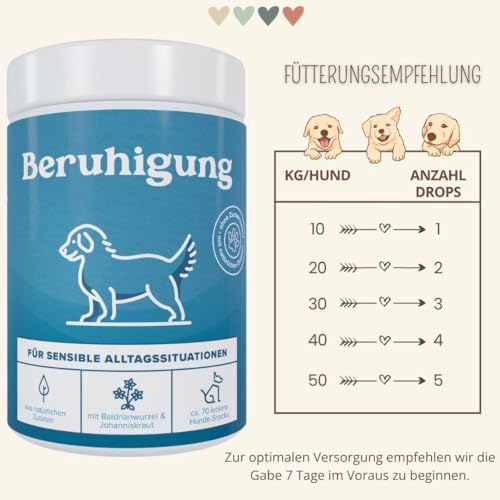 Beruhigungssnack für Hunde – Gegen Stress & für Gelassenheit bei Autofahrten, Tierärzten & im Alltag – mit L-Tryptophan, Baldrian, Johanniskraut & Lammprotein – Getreidefrei & Natürlich (180 g)