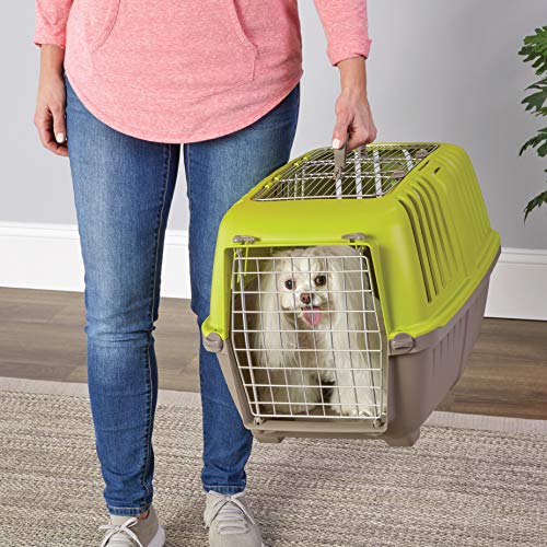 Image of Spree by Midwest 24-Inch Travel Carrier, Green, Fits Pets up to 25 lbs
