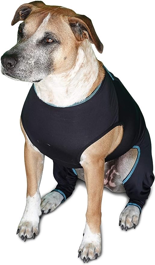 Image of BENEFAB Therapeutic Comfort Suit for Dogs - Lightweight Far-Infrared Jacket for Canines of All Ages - Relaxing FIR Compression Suit Soothes Muscles, Joints, and Pain (Small)