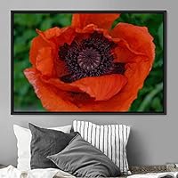 Framed Canvas Wall Art Flora Snapshot Closeup Dark Expressive Farmhouse/Country Floral Multicolor Photography Realism Single - 16x24 inches