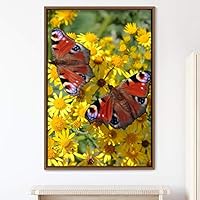 Framed Canvas Wall Art Butterflies Butterfly Colorful Farmhouse/Country Hallway Insects Multicolor Photography - 16x24 inches