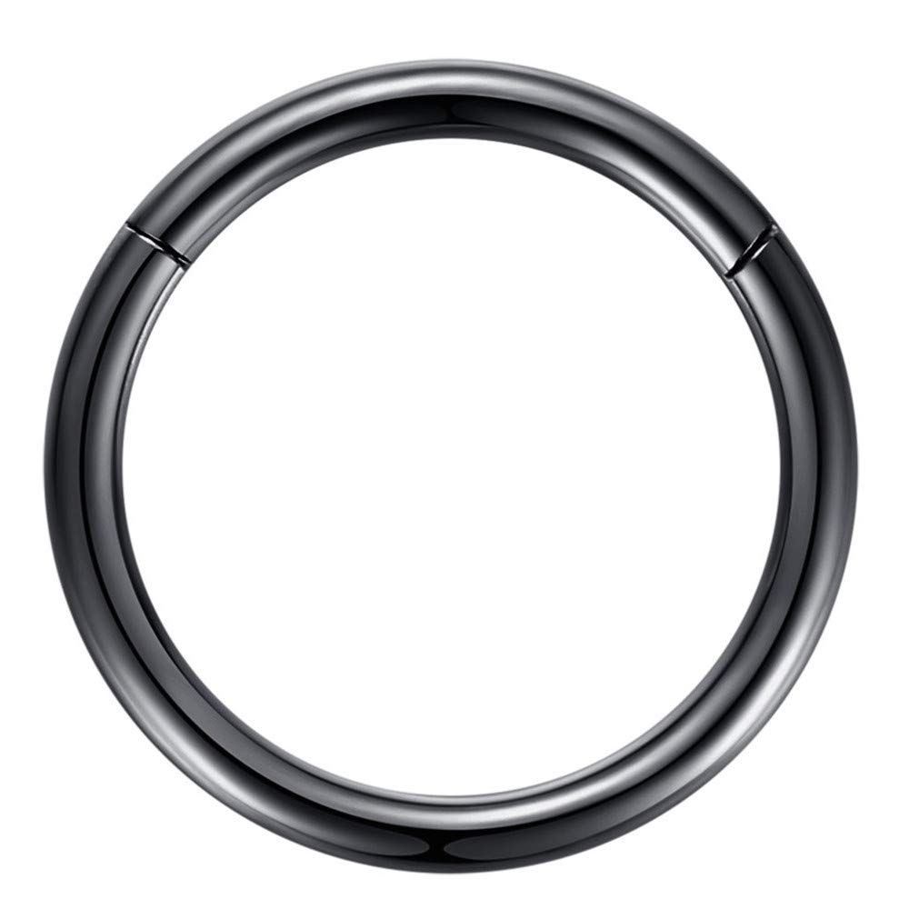 ORANGELOVE Hypoallergenic Nose Rings 20G 18G 16G 14G 12G 10G 8G 316l Surgical Steel Septum Jewelry Hinged Segment Ring Body Piercing Nose Hoop Lip