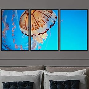 signwin 3 Piece Framed Canvas Wall Art Colorful...
