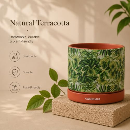 Image of Habere India-All the Cultures Fabricating India Pot for Plants | Flower Pots for Garden, Dining Table & Home Decor | Terracotta Flower Pot for Living Room Decoration (Red & Green, Dia11 x H10.5 cm)