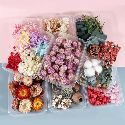 Box de flores secas para velas aromáticas y manualidades miniatura 3