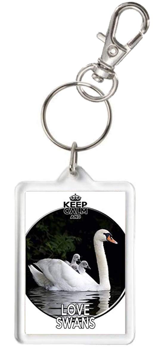 Kazmugz Multicolor Swan Keyring, Keep Calm And Love Swans Keyring. Exclusive Kazkeyz Design. Can Be Personalised