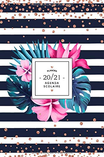 Télécharger Agenda Scolaire 2020 2021: Agenda Étudiante 2020 2021 - août 2020 à juillet 2021 - Agenda Semaini livre En ligne