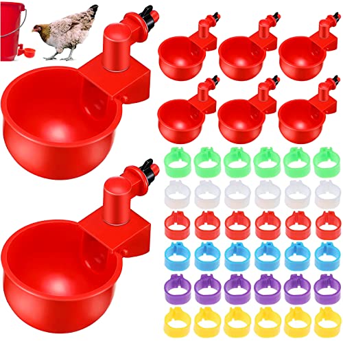 Geflügel Schlachtkegel Aus Stahl – Für Hühner & Truthähne Bis 14 Pfund