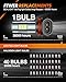 SEALIGHT H11 H8 H16 LED Fog Light Bulbs or DRL, Real 360° illumination Fog Bulbs, 6000K 400% Brightness Upgraded, H16 Front Fog Lamp,Non-polarity, Pack of 2, Plug&Play