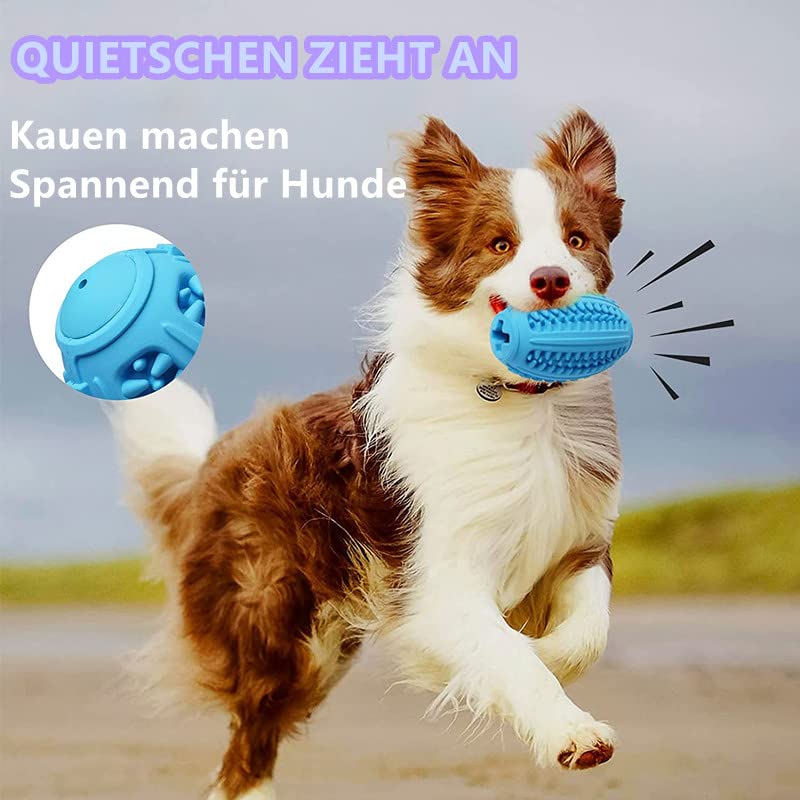 Kauspielzeug Für Große & Mittlere Hunde – Naturkautschuk Zahnbürste – Robust, Interaktiv & Zahnpflegend