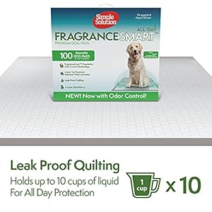 Simple Solution FragranceSmart™ Odor Control All Day Pads | Green Tea Fragrance Odor Neutralizer with Wetness Indicator | 100 ct