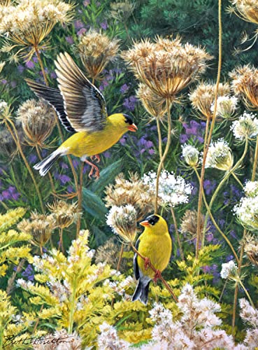 Buffalo Games - Beth Hoselton - Golden Opportunity - 1000 Piece Jigsaw Puzzle, Multicolor