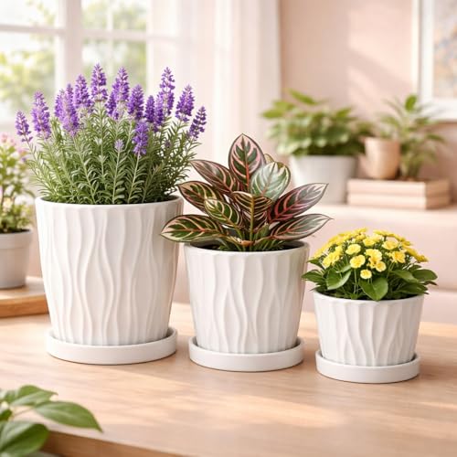Image of Xtore Elegant Ribbed Ceramic Planter Pot Set with Drain Trays for Indoor & Outdoor Plants | Modern Minimal Flower Pots for Living Room, Balcony & Office Styling (White, Set of 3 Sizes) (Planter only)
