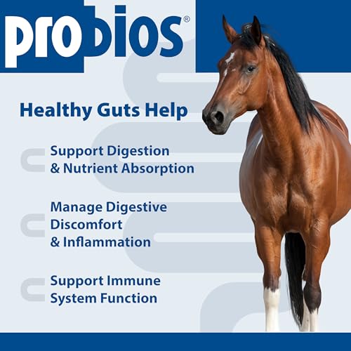 Probios Horse Probiotic Soft Chews, Apple Flavor, 1.32 lb | Gut health, Digestive support, Immune health, Apple flavor - Image 4