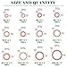 Keadic 320Pcs Copper Flat Washers Assortment Kit, M6 M8 M10 M12 M14 M16 M18 M20