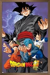 Bronze Framed Version