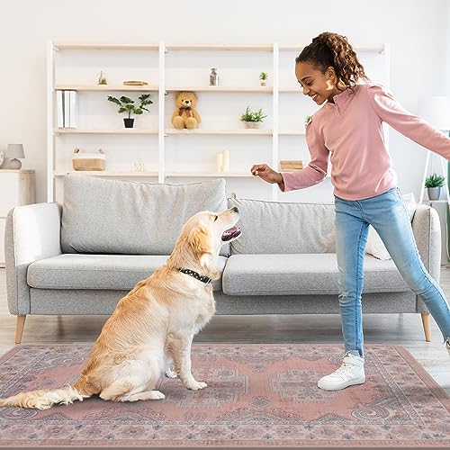 Area Rugs Machine Washable : 3x5ft Stain Resistant Throw Rug Entryway Runner Non Skid Laundry Floor Mat Under Desk Carpet Entry Rug Boho for Inside House Bedside Kitchen Hallway Foyer
