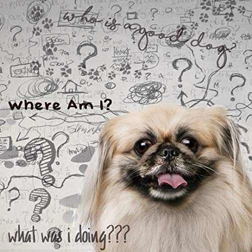 Image of The Blissful Dog Pekingese Age Well Dog Aromatherapy Roll-On Bottle for Your Dog's Peaceful Ageing