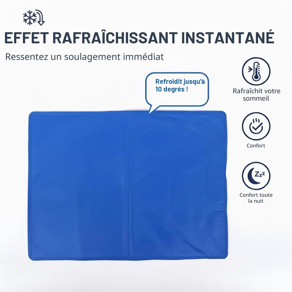 Coussins Rafraîchissants pour Oreiller, Bleu et Blanc, 30 x 40 cm, 1000g, Lot de 2