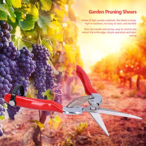 AUNMAS Fruit Picking Scissors - Image 2