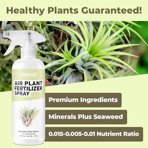 Fertilizante líquido en spray para plantas de aire 473 ml miniatura 2